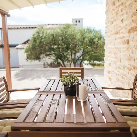 Olive Tree 2 * Vodice