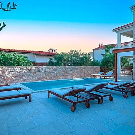 Olive Tree 2 *