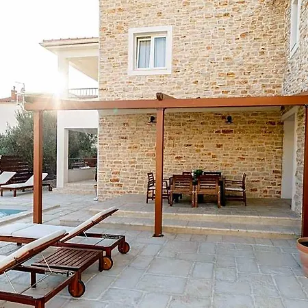Olive Tree 2 * Vodice