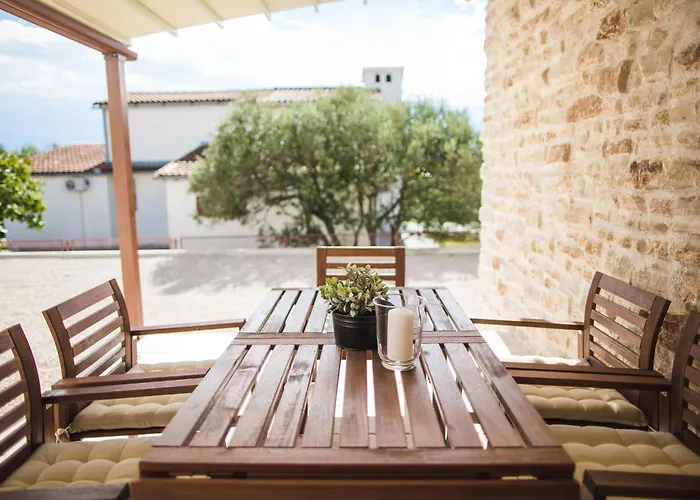 Olive Tree 2 * Vodice